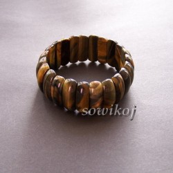 Sokole oko płotek