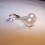 /environment/cache/images/300_250_productGfx_22c7c4ff1f6409cd96c68acfe0b20968.jpg
