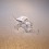 /environment/cache/images/300_250_productGfx_a36ec4dd299d8261e9f6a476f73c4cf3.jpg
