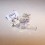/environment/cache/images/300_250_productGfx_fff3693ad7955c049f2028008f5a3e21.jpg